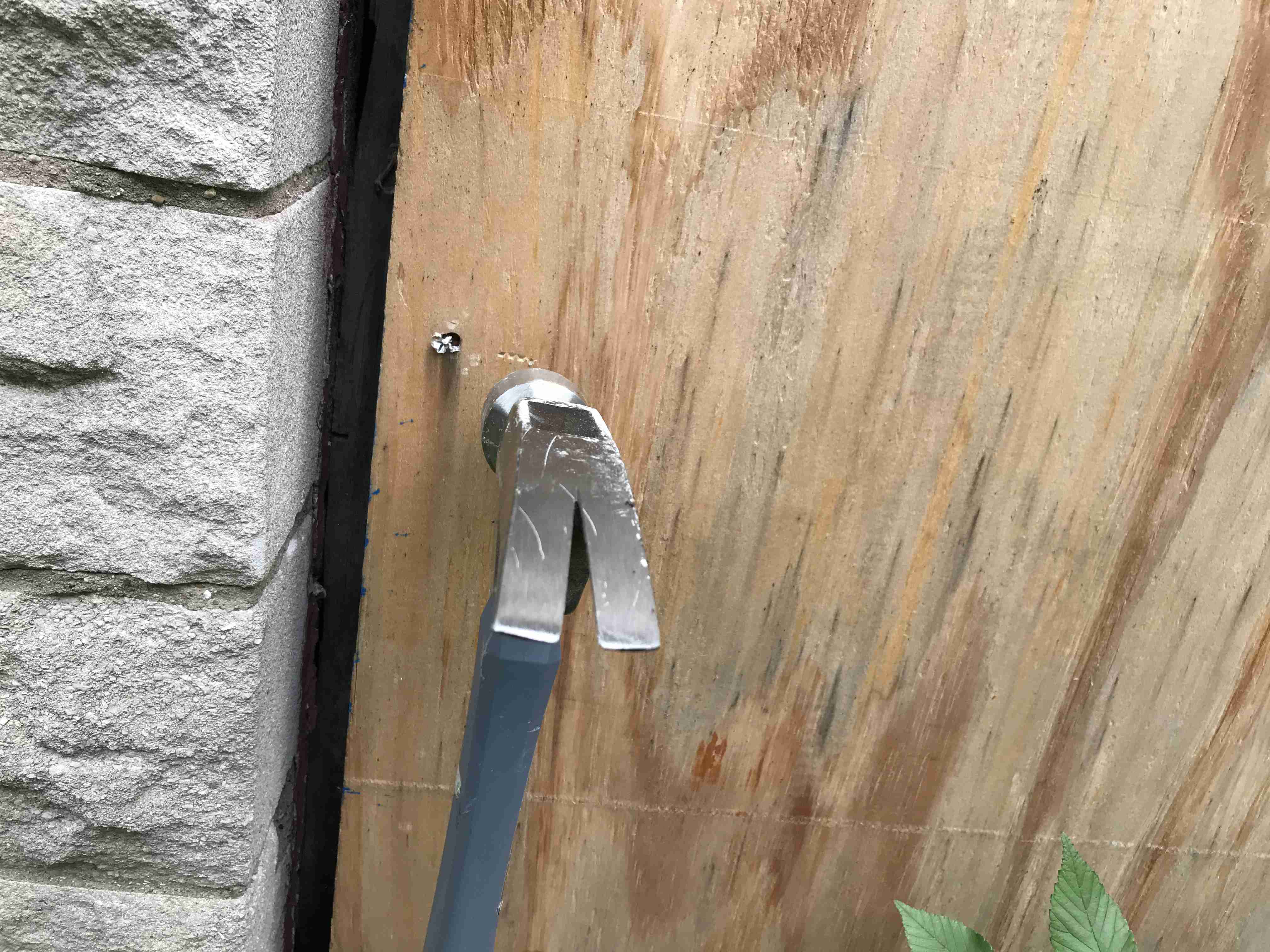 Photo Sep 10, 2 17 00 PM.jpg